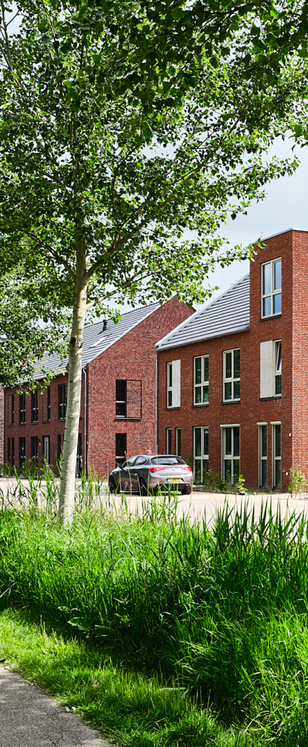 PLF86390-LR.jpg