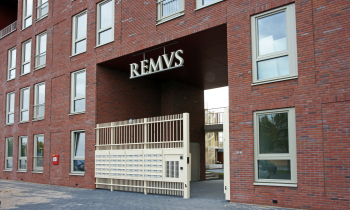Remus 15.jpg