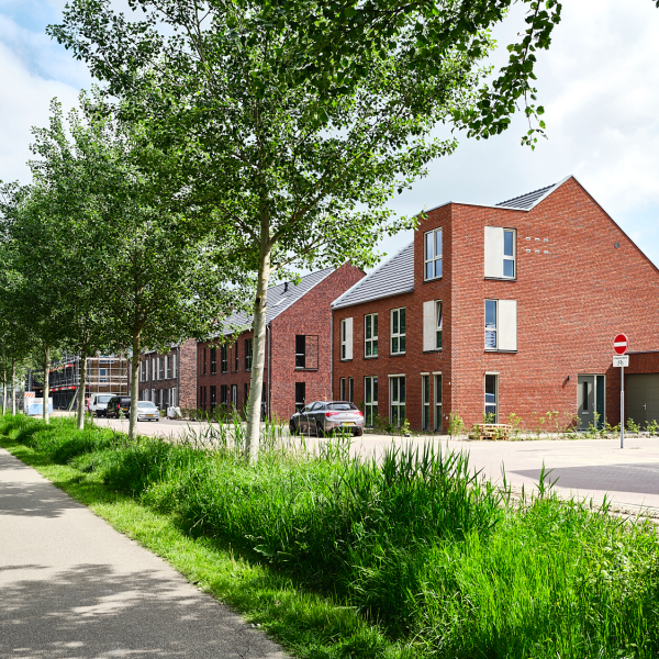 PLF86390-LR.jpg